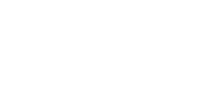 Integrated Federal Group